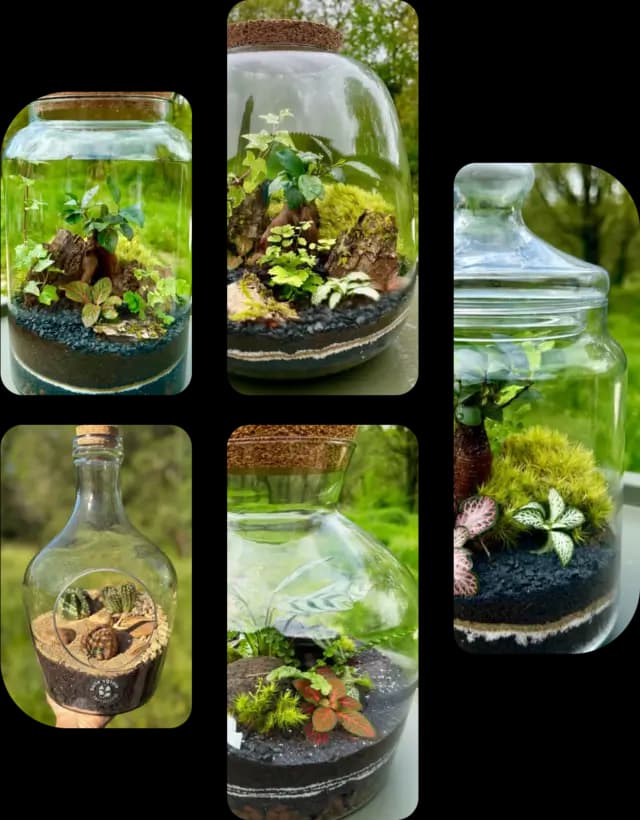Un instant miniature